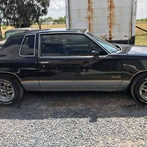 Meet your Posher, Freddy